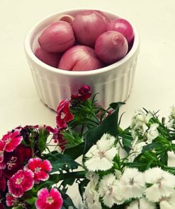 پیاز ترشی یک کیلو