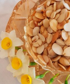 هسته زردالو یک کیلو