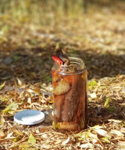 ترشی بادمجان شکم پر یک کیلو